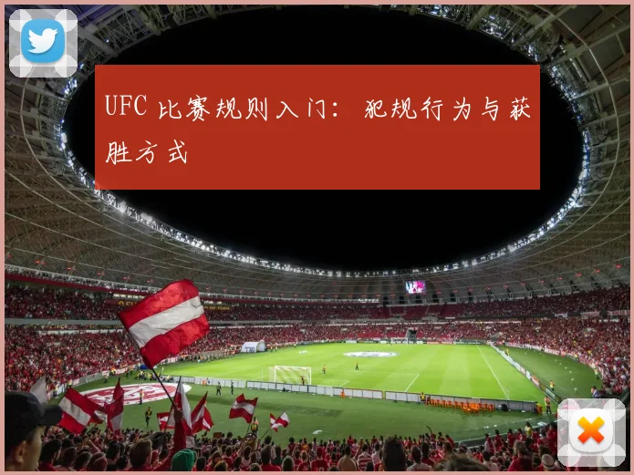 UFC 比赛规则入门:犯规行为与获胜方式