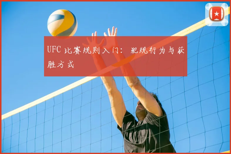 UFC 比赛规则入门:犯规行为与获胜方式